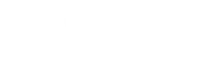 Technion logo